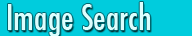 Image search
